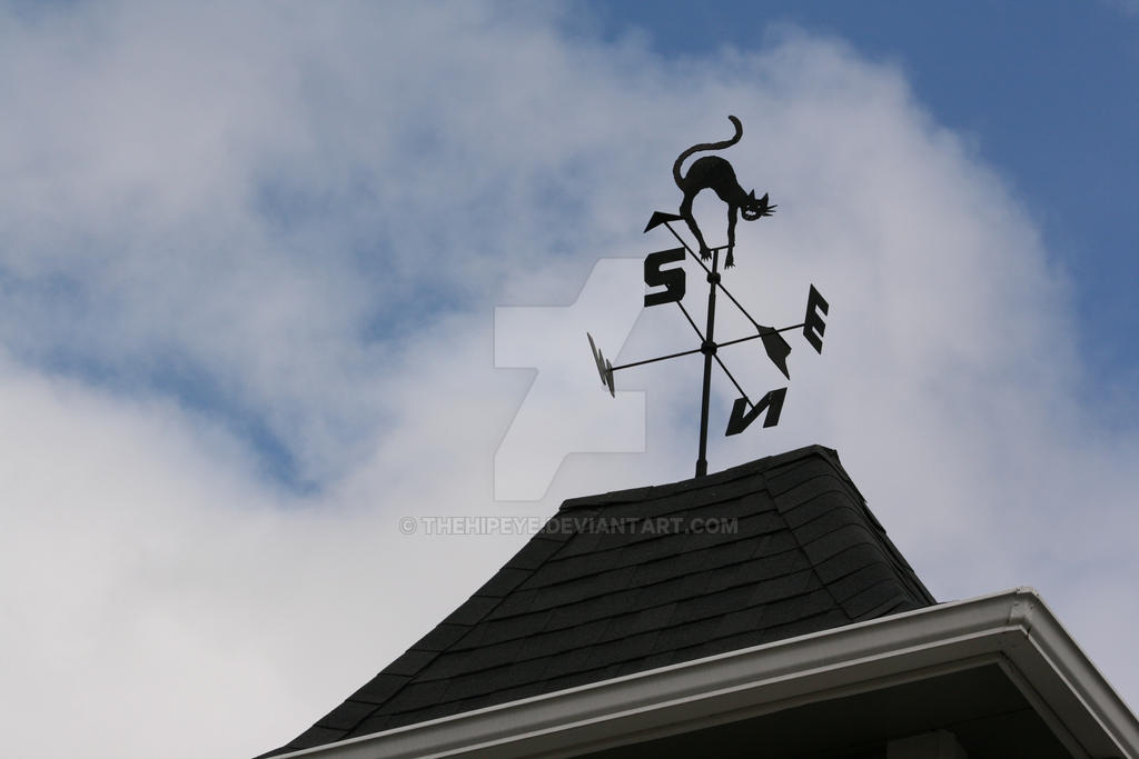 Freaky Weathervane Weathervane by thehipeye on DeviantArt