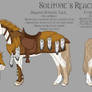 Solitude's Reach 346 Armor and Tack