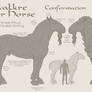 Avalkre War Horse Conformation