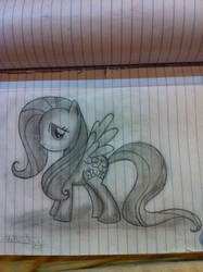 Yeah Fluttershy again Derp