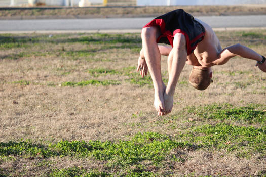 Flips At The Lake