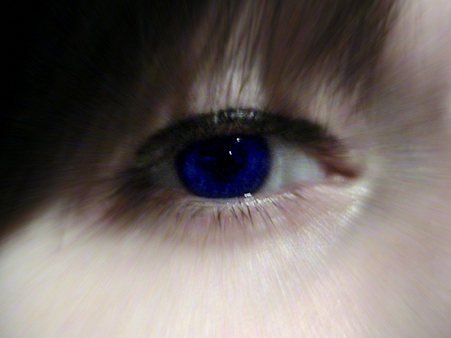 Blue Eye