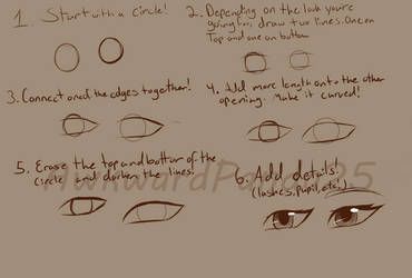 Eye Basics