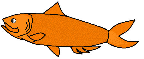 Fish idk