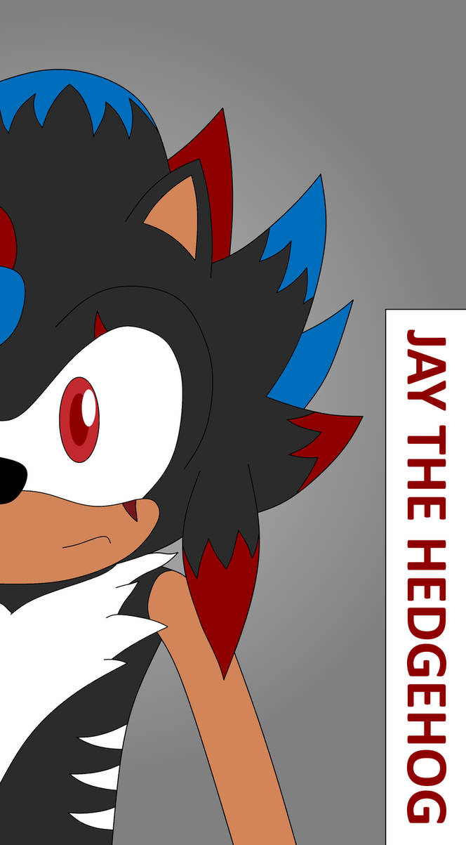 Jay The Hedgehog (Poster) by DarkTails-X on DeviantArt