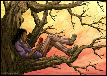 Usopp reading in a tree