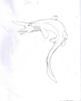 goblin shark line art