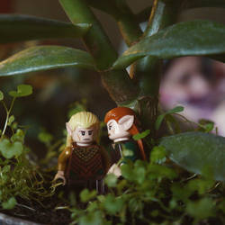 Legolas and Tauriel