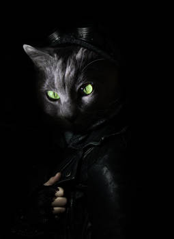 Gotham Cat