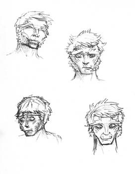 2013 05 Calphayus expressions
