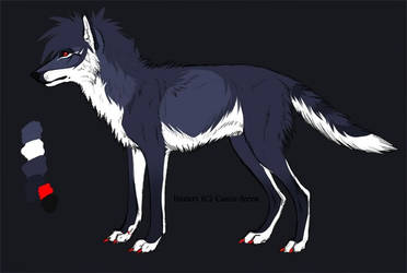 Wolf adopt 3 Sold
