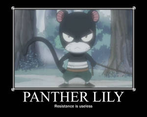 Panter Lily