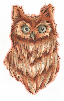 Brown Owl