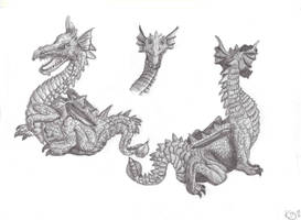 Some Dragon practice