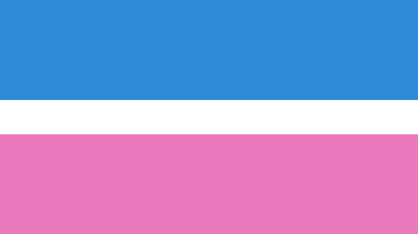 Straight Colors Straight pride flag by ArtisanTheGod on DeviantArt