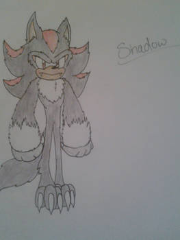 Shadow the Werehog