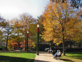 Ribbons, Garlands and Lights