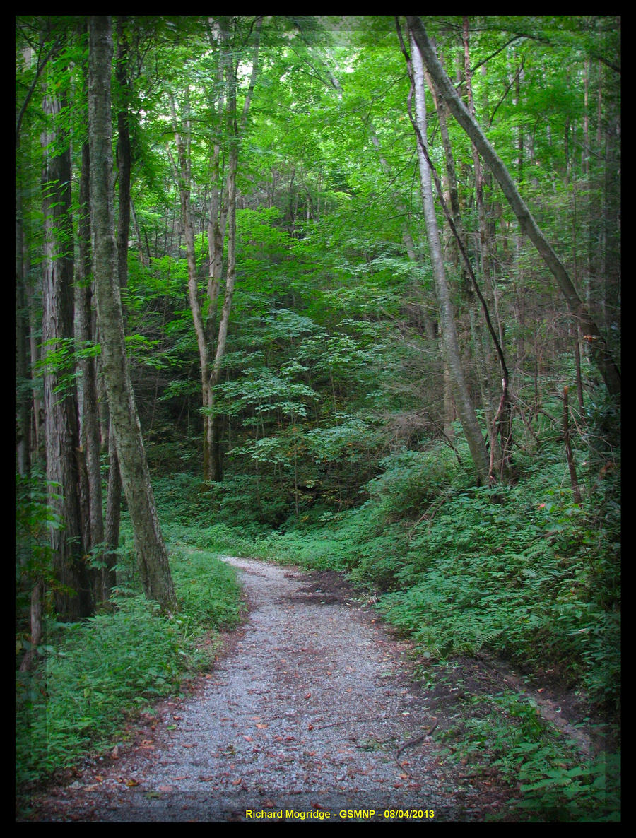 Jake's Creek Trail Scenery 35