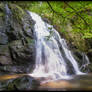 Spruce Flat Falls at Tremont 1