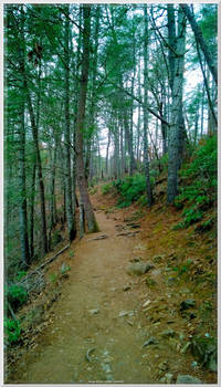 Ankle Turners on Abrams Falls Trail