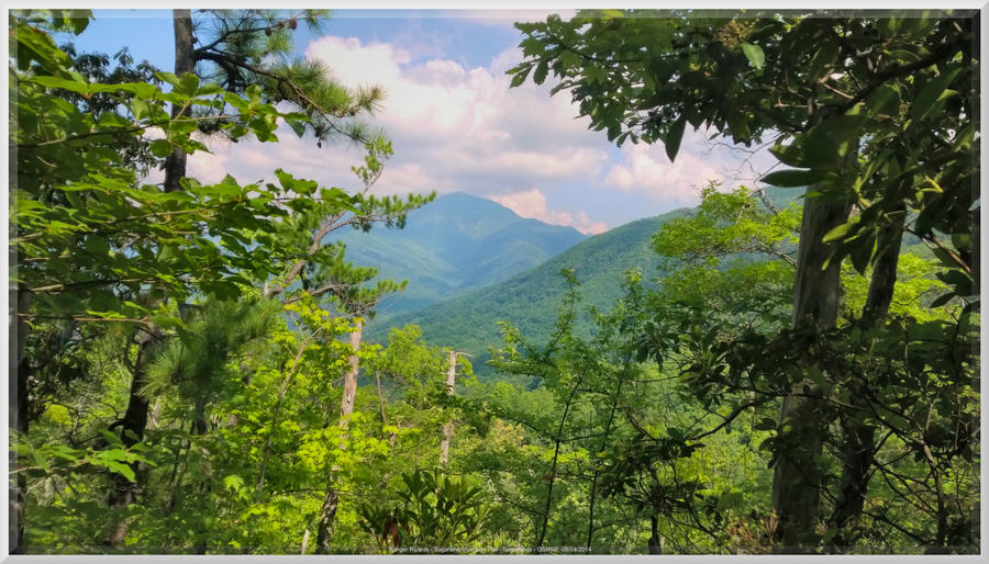 View From Sugarland Mountain Trail 1