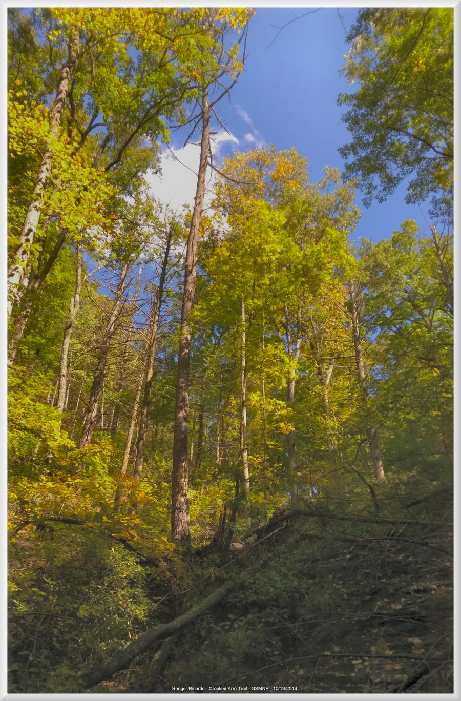 Crooked Arm Trail Hike 2014 015