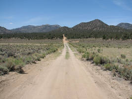 The Road To Kennedy Meadows