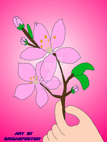 Cherry Blossom Audition