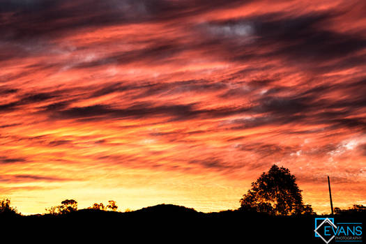 Fiery Sunset