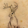 Jackalope