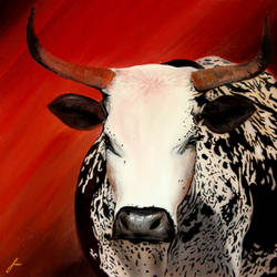 Nguni 4