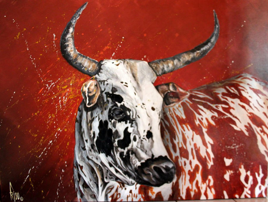 Nguni By Discofrisco On Deviantart Nguni By Discofrisco On Deviantart