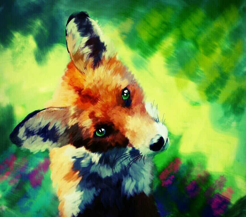 Fox