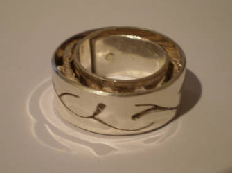 silver ring 2