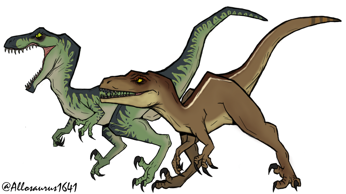 Novaraptor Types Novaraptors by Allosaurus164 on DeviantArt