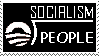Obama Socialist Equation stamp