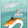 Shark Week Cartoon No. 7