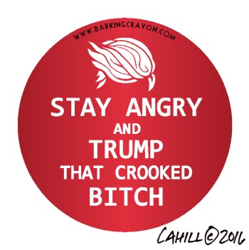 Stay Angry and Trump button