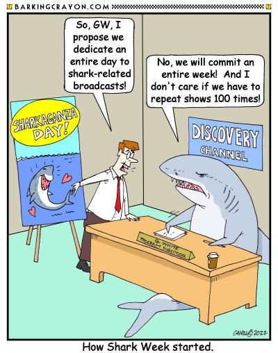 Shark Programming by Conservatoons on DeviantArt