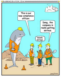 Shark Compliance Officer