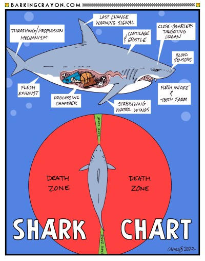 Handy Shark Chart by Conservatoons on DeviantArt