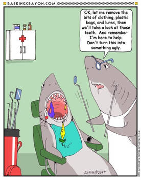 Shark Hygienist