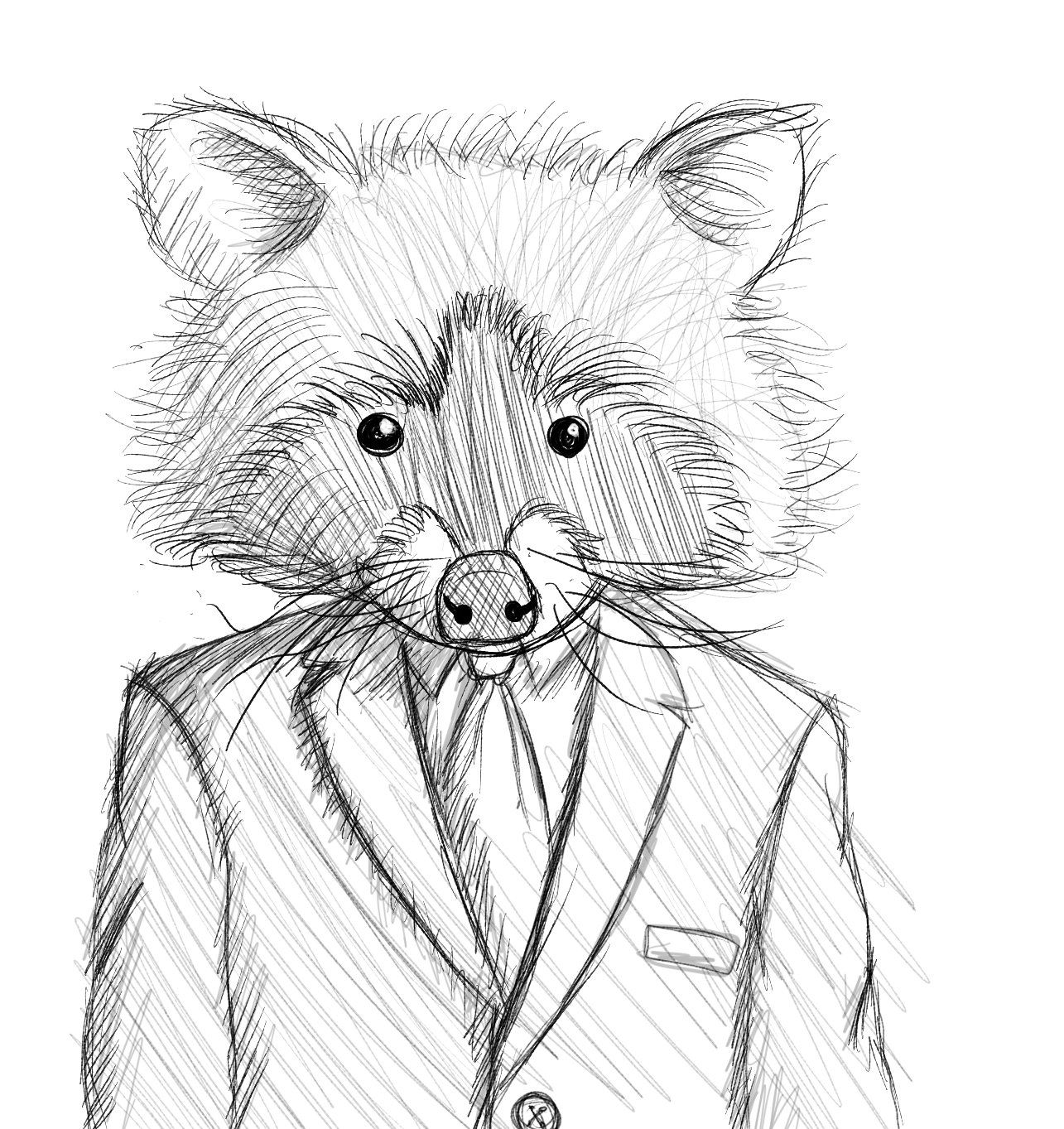 Raccoon Sketch