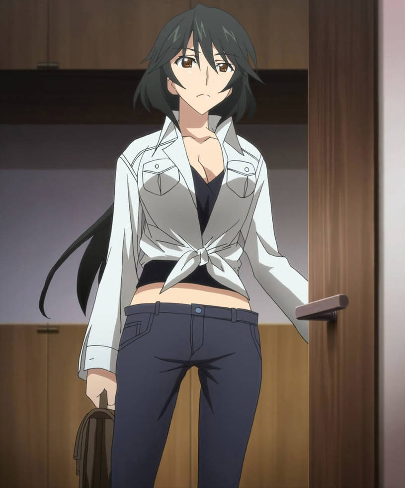 So guys! :D What do you think of this?! - Infinite Stratos
