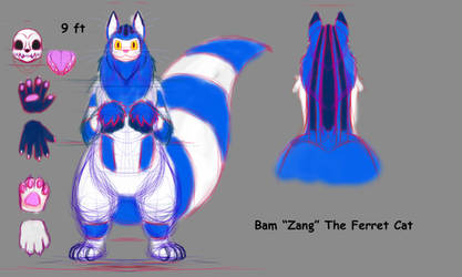 Bam Zang The Ferret Cat  