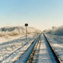 Tracks in the Snow