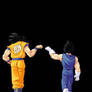 Goku And Vegeta 