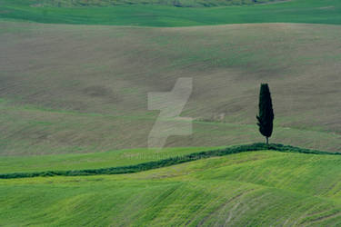 Val D'Orcia2