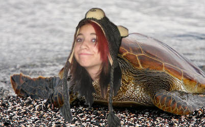 i liek turtles