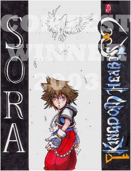 sora -Kingdom hearts